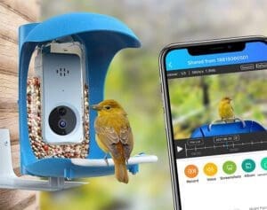 BirdDock Smart Bird Feeder