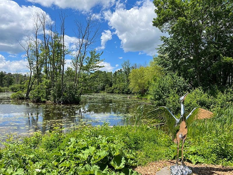 Cornell Bird Lab Pond Overlook