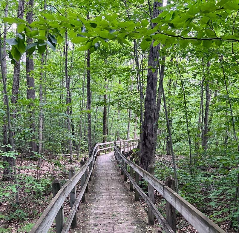 Cornell Bird Lab Walking Path