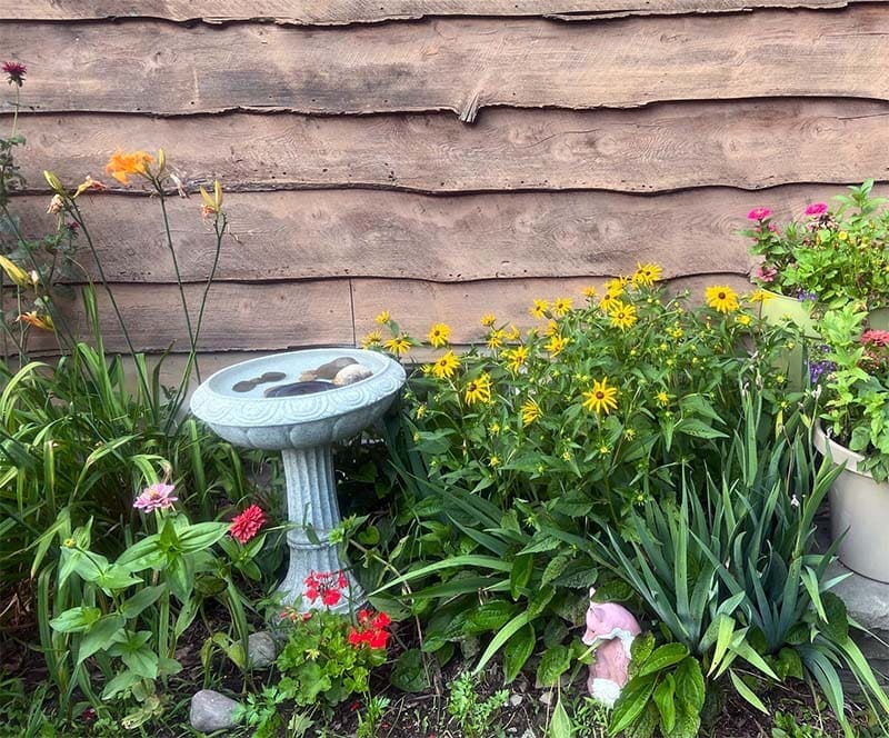 Flower Bed with Bird Bath