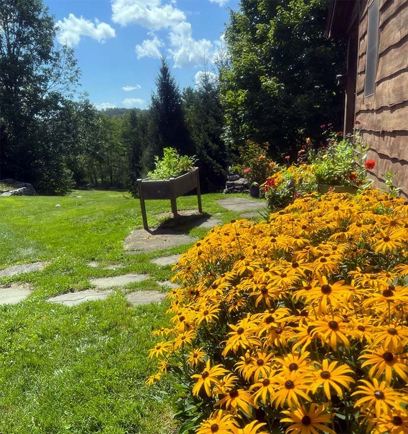 Planter in the Yard